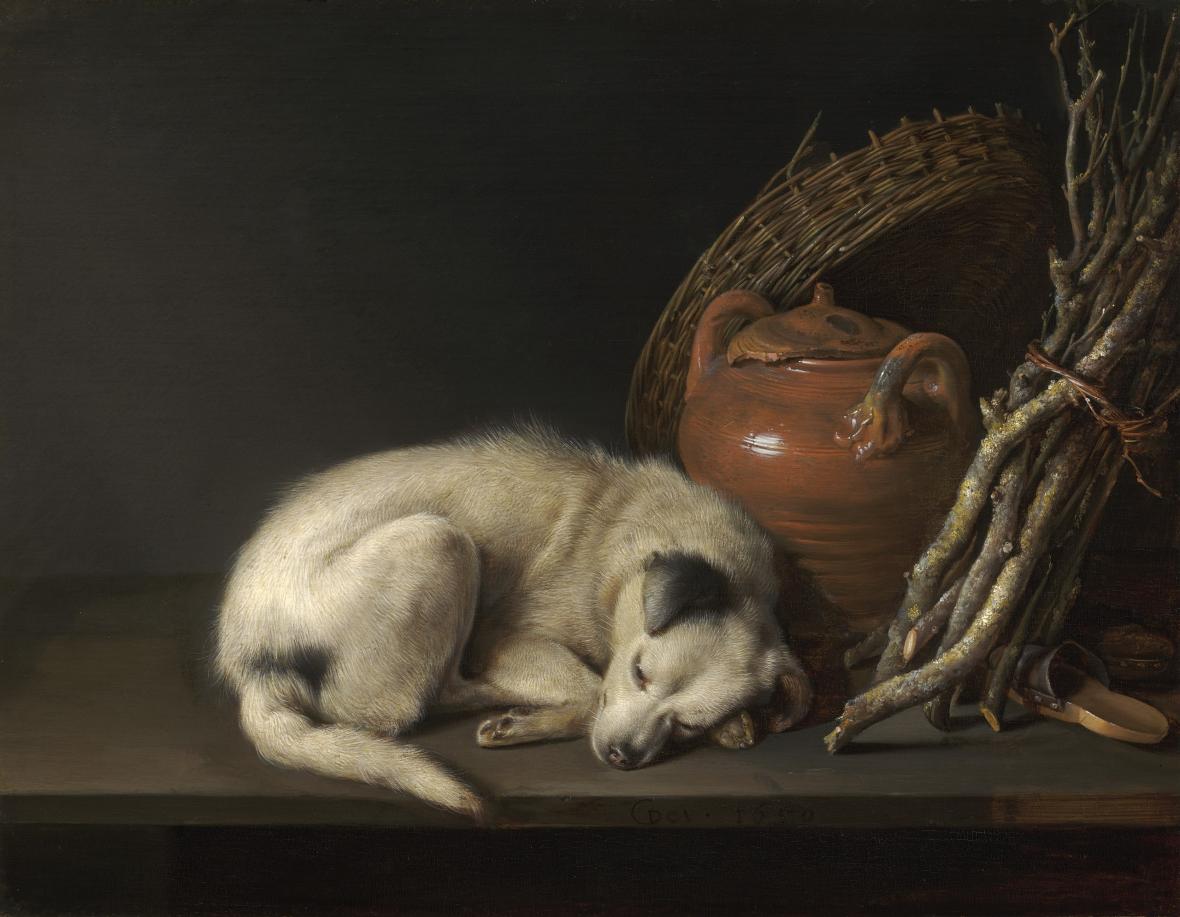 A Sleeping Dog, Museum of Fine Arts Boston