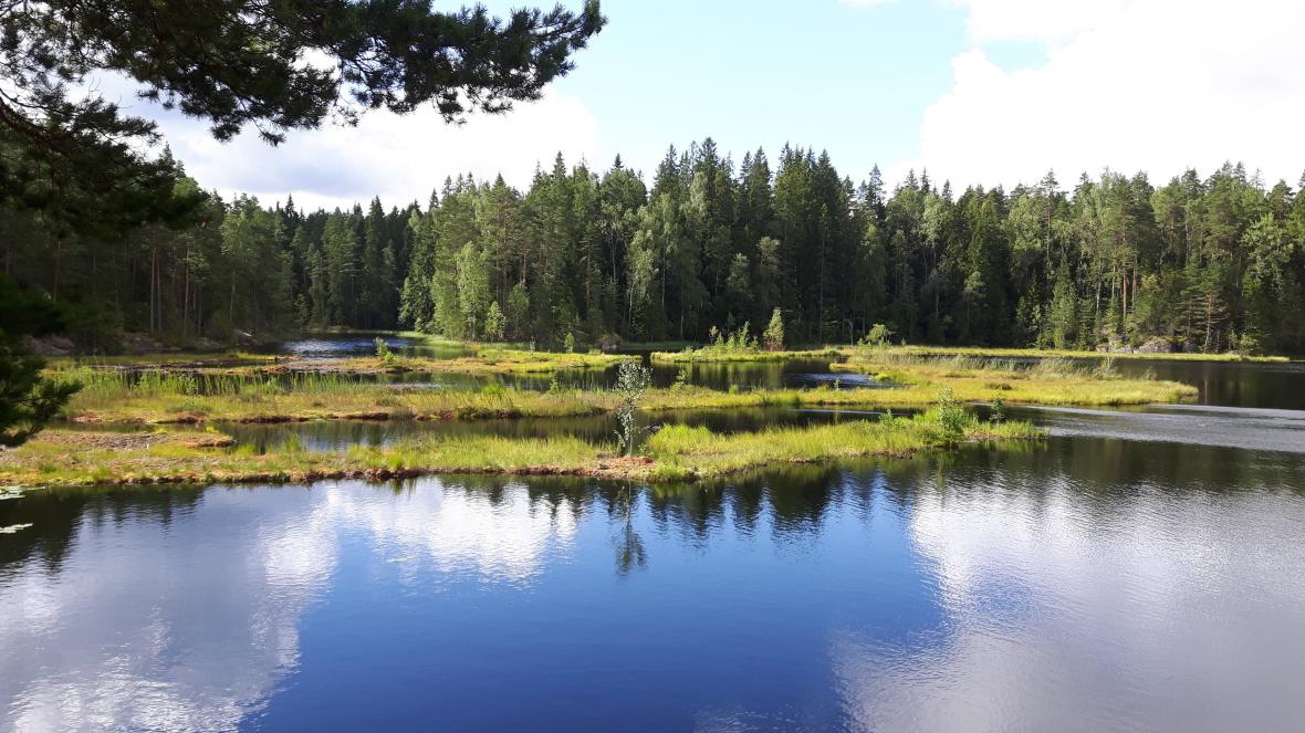 Nuuksio National Park