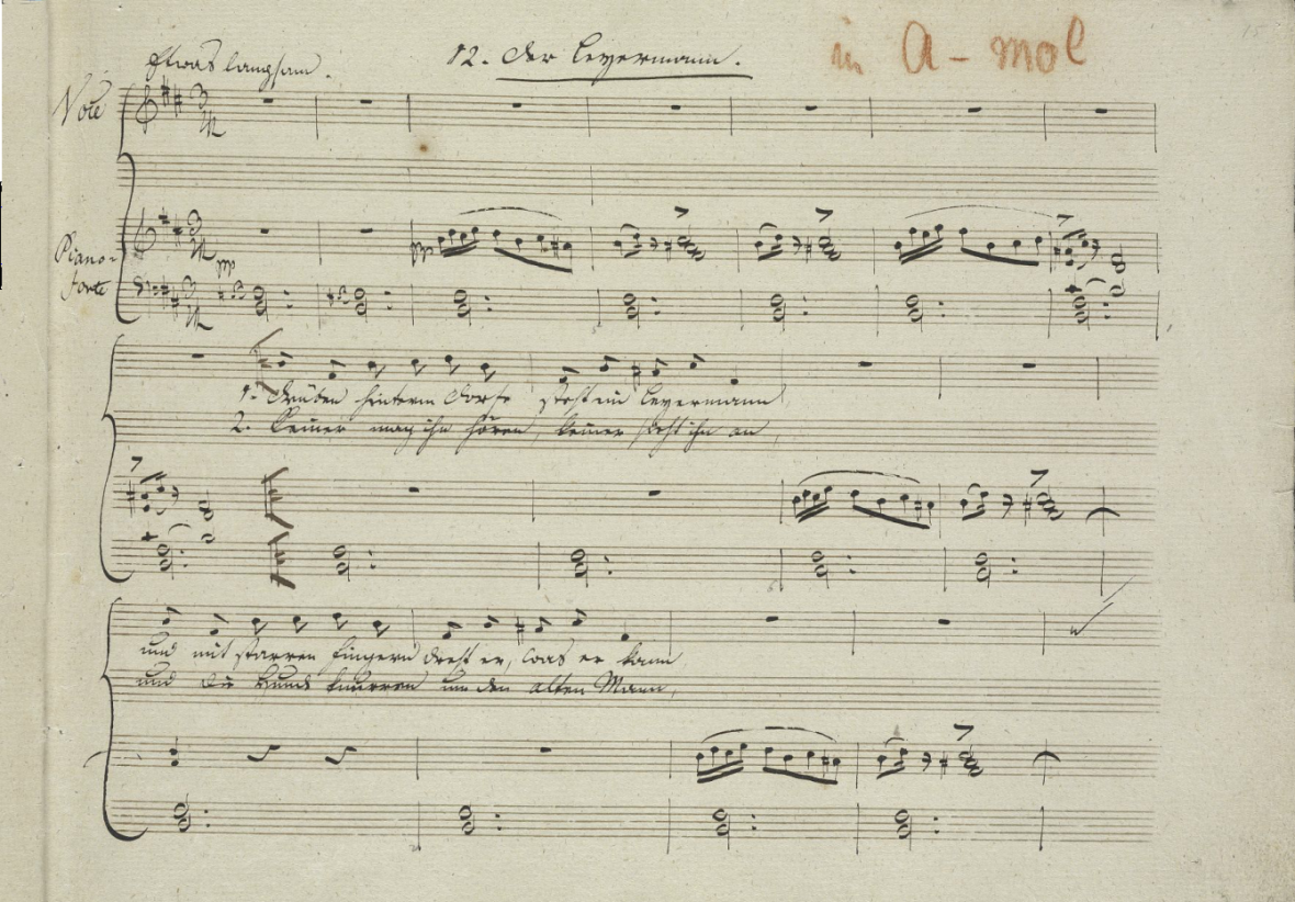 Winterreise, 24 ms f15r