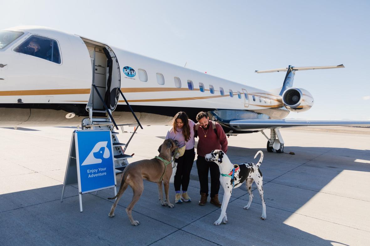 رتریوایر ایرلاینی مختص حیوانات خانگی